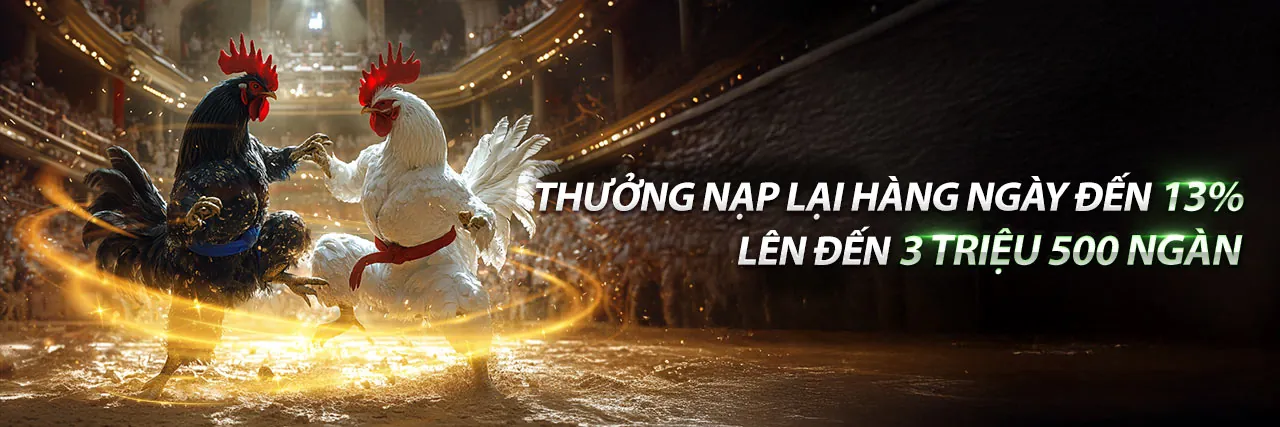 Sân đá gà trực tuyến sôi động tại 247asia link vào